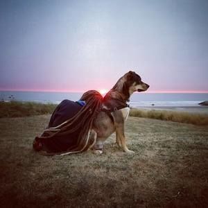 Meet your Posher, Meg